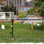 Is there enough greenspace around Elgin Street Public School for outdoor classes? Brett Delmage/The BUZZ