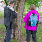 Neighbourwoods volunteers measuring trees. (Liz Ruddick/The BUZZ)