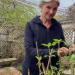 Barbara Sibbald invites you to plant flowers (or play with worms) in Dundonald Park at the CCA gardening festival on June 11. (Jack Hanna/The BUZZ)