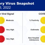 Ottawa Public Health: Respiratory Virus Snapshot as of December 8, 2022