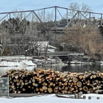 Trees were recently cleared off Victoria Island, leaving these logs. (Debbie Barton/The BUZZ)