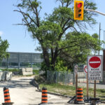 The Lyon on-ramp to the Queensway is closed for this year’s work to replace the Bronson and Percy overpasses. (Alayne McGregor/The BUZZ)