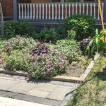 This lovely Centretown front yard garden breaks several of the city’s proposed rules: it uses hard landscaping (pavers and bricks) and it’s too close to a fire hydrant. (Alayne McGregor/The BUZZ)