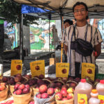 Many local varieties of apples, including a few from this year’s crop, were for sale at the Mountain Orchards booth at The Elgin Street Market in July. (Alayne McGregor/The BUZZ)