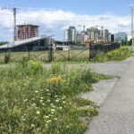 The currently-empty fields in LeBreton Flats west of the Canadian War Museum. They may be filled with housing and/or a new arena. (Alayne McGregor/The BUZZ)