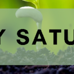 Seedy Saturday logo.
