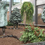 The three Nature Girls bronze statues in front of 80 Elgin last fall: (l-r) Stump Girl, Conifer Girl, and Bush Girl. (Alayne McGregor/The BUZZ)