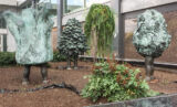 The three Nature Girls bronze statues in front of 80 Elgin last fall: (l-r) Stump Girl, Conifer Girl, and Bush Girl. (Alayne McGregor/The BUZZ)