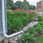 This downspout drains into a rock bed and waters nearby plants, rather than going into the city’s stormwater system. This reduces the need for expensive city water and decreases the risk of flooding. (Rain Ready Ottawa)